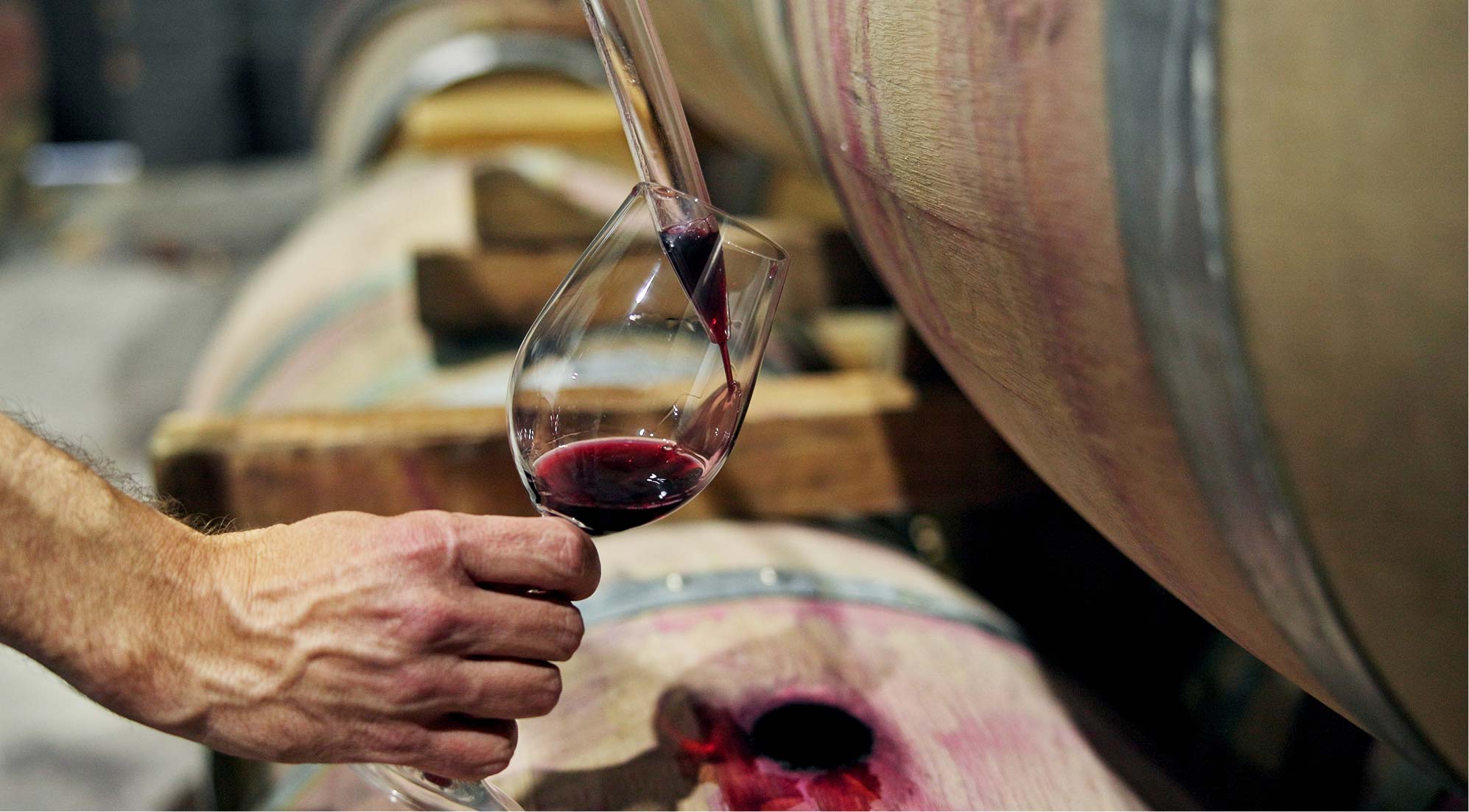 Vinar toči vino iz bačve